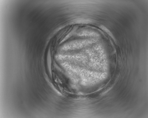 X0000069410581200605262211