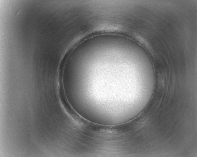 X0000069410582200605262211