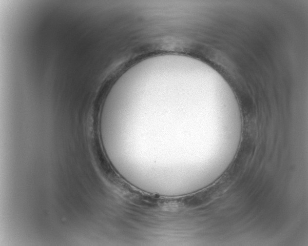 X0000069410587200605262211