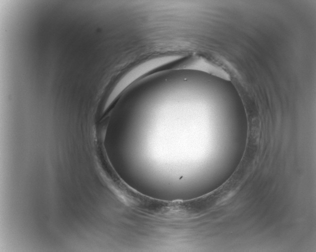 X0000069410589200605262211