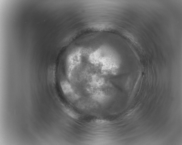 X0000069410590200605262211