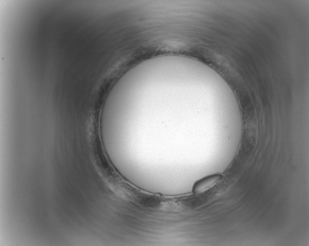 X0000069410591200605262211