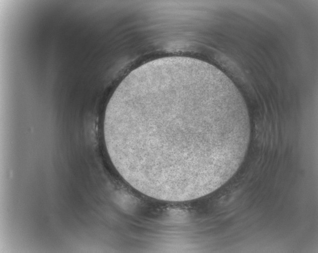 X0000069410592200605262211