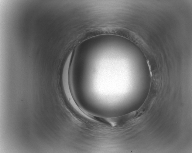 X0000069410593200605262211