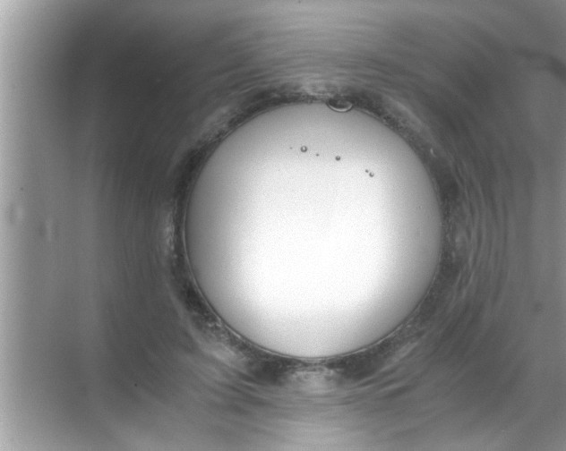 X0000069410595200605262211