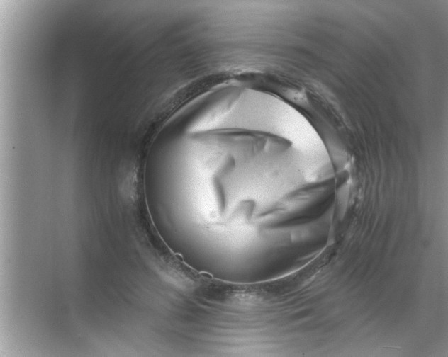 X0000069410596200605262211