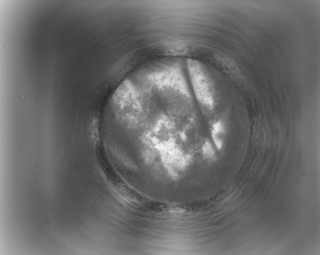 X0000069410598200605262211