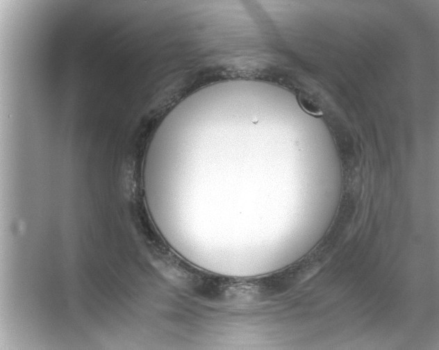 X0000069410599200605262211