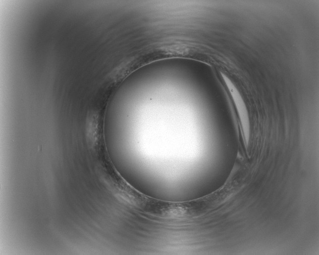 X0000069410600200605262211