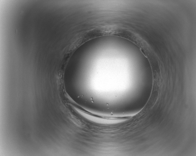 X0000069410601200605262211