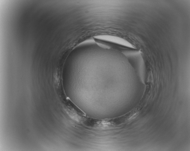 X0000069410607200605262211