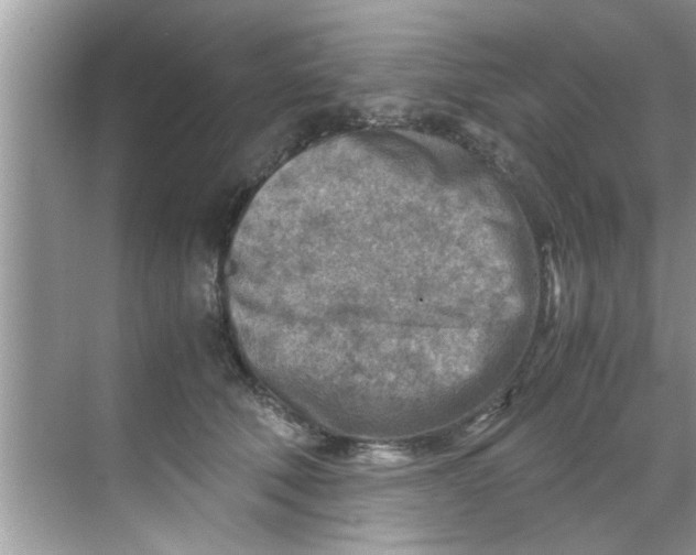 X0000069410610200605262211