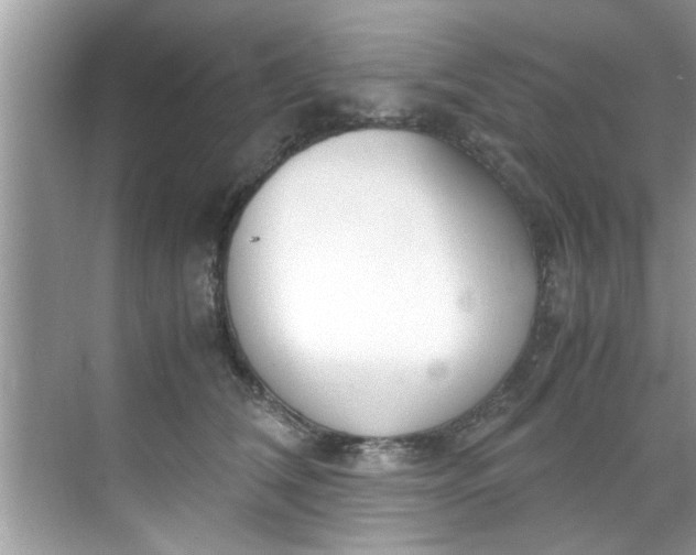 X0000069410612200605262211