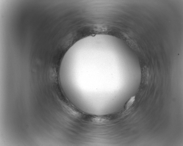 X0000069410614200605262211