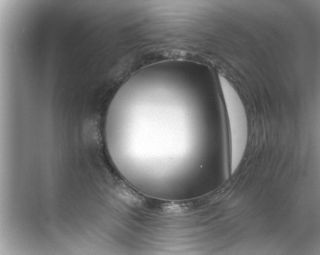 X0000069410616200605262211