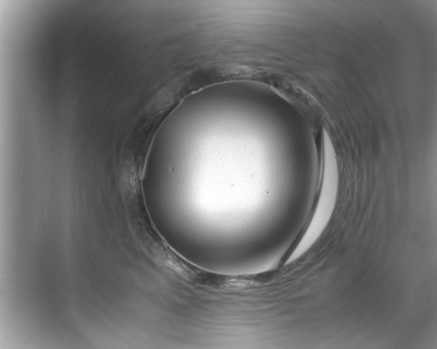 X0000069410617200605262211