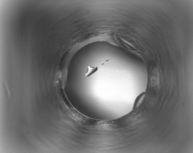 X0000069410620200605262210