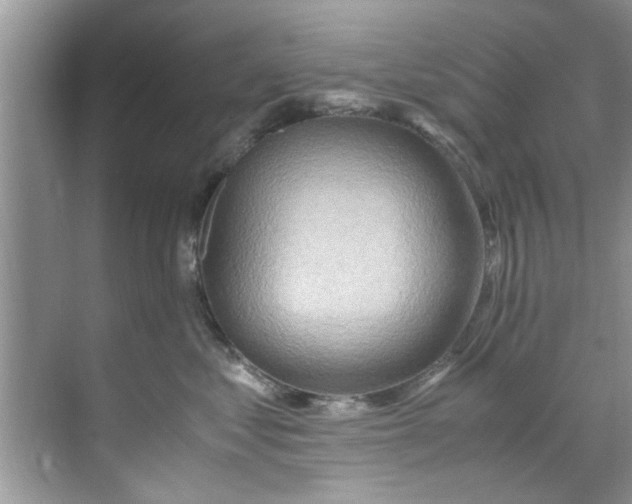 X0000069410621200605262210