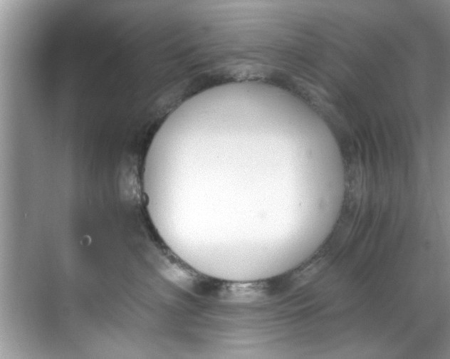 X0000069410622200605262210