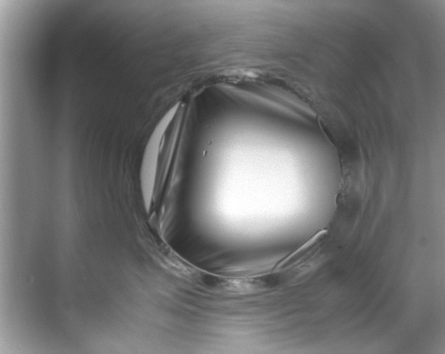 X0000069410623200605262210