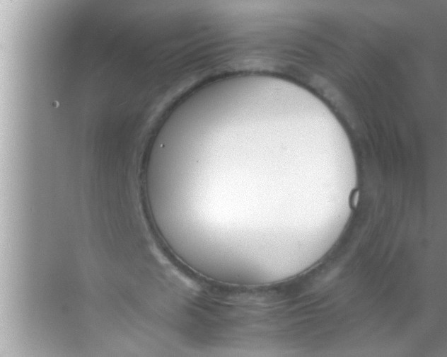 X0000069410625200605262210