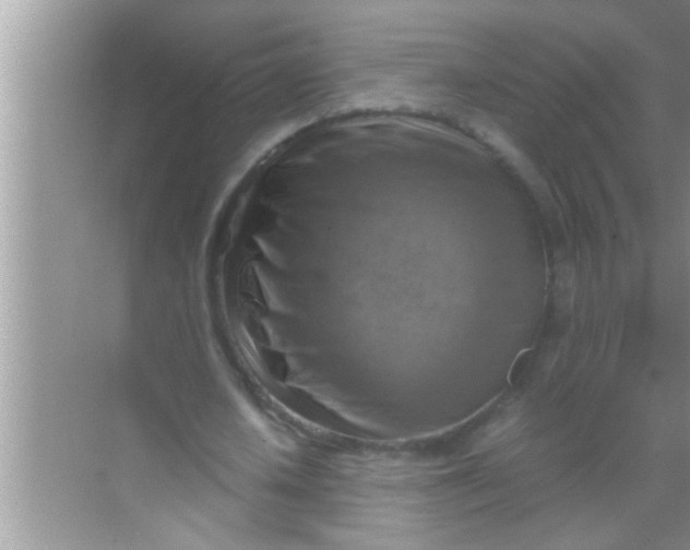 X0000069410626200605262210