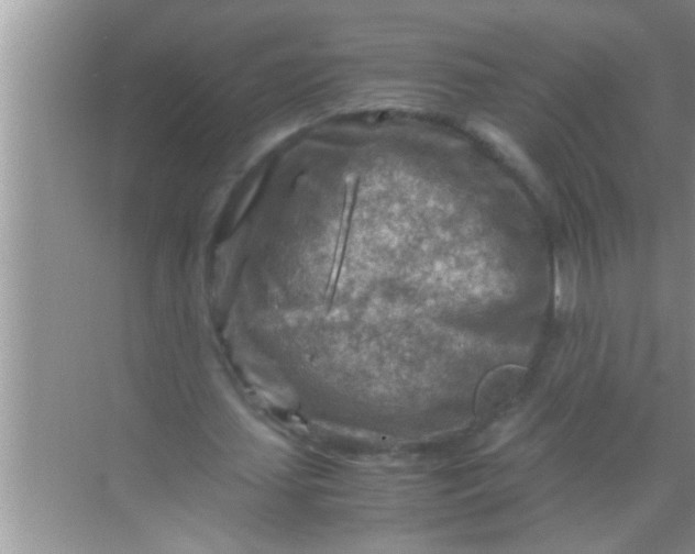 X0000069410627200605262210