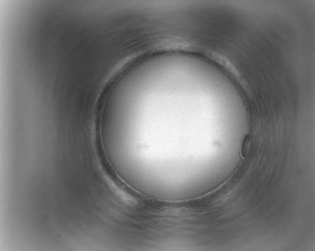 X0000069410629200605262210