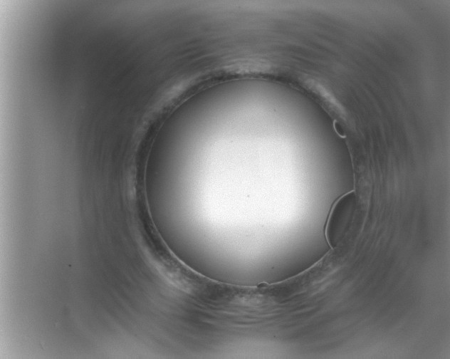 X0000069410631200605262210