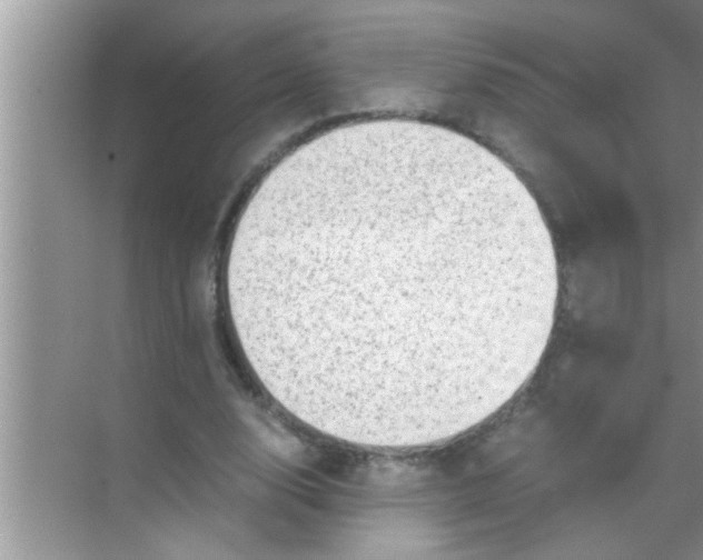 X0000069410632200605262210