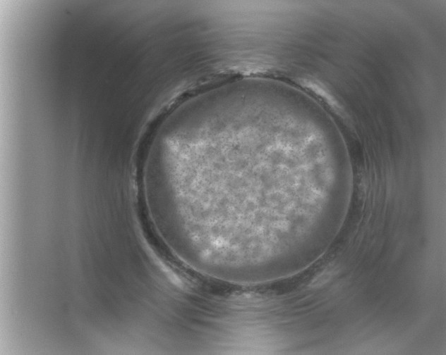 X0000069410634200605262210