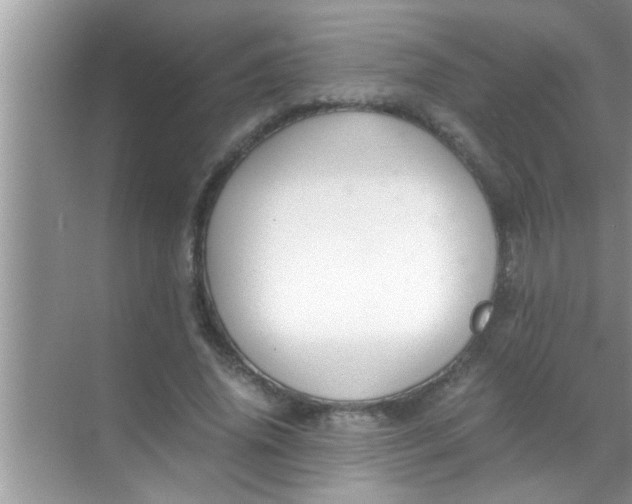 X0000069410636200605262210