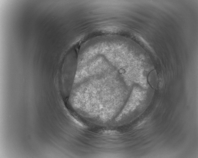 X0000069410637200605262210