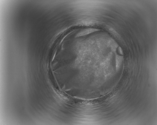 X0000069410640200605262210