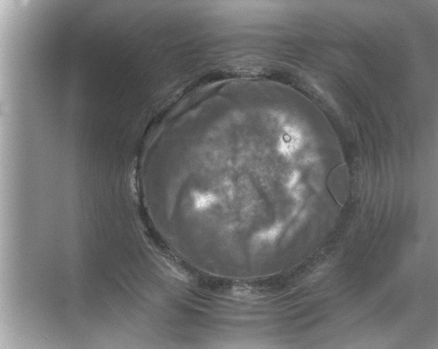 X0000069410641200605262210