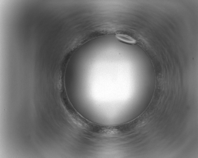 X0000069410642200605262210