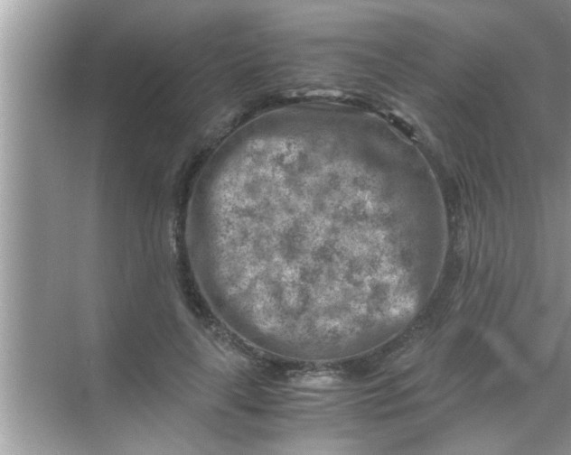 X0000069410643200605262210