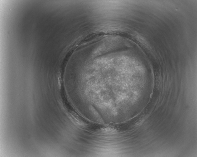 X0000069410644200605262210