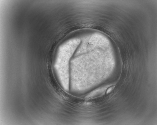 X0000069410647200605262210