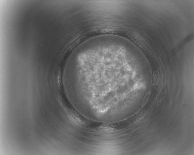 X0000069410648200605262210