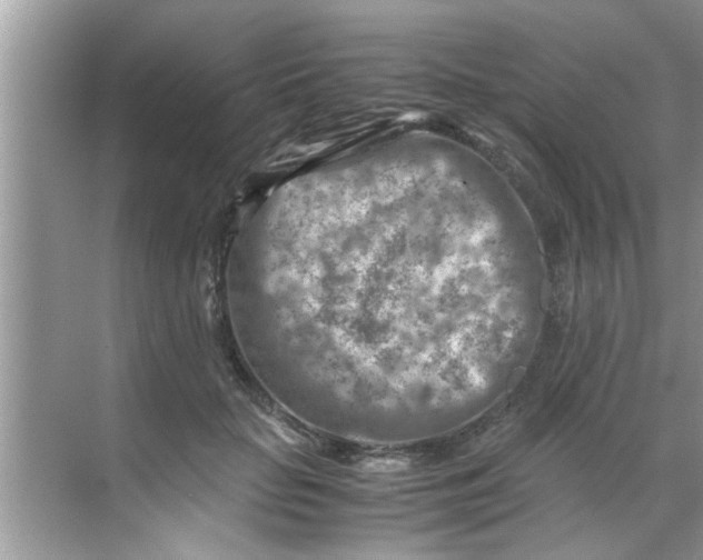 X0000069410653200605262210