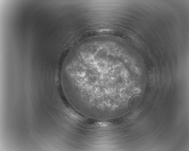 X0000069410654200605262210