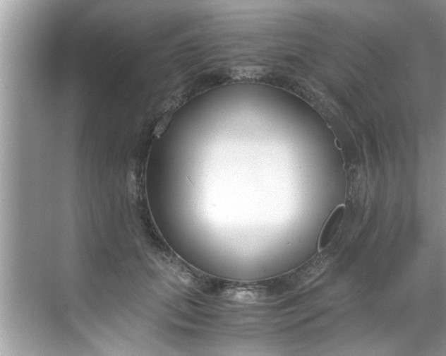 X0000069410655200605262210