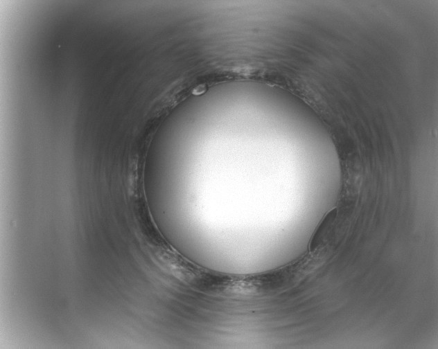 X0000069410656200605262210