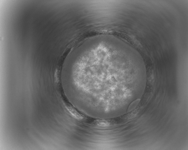 X0000069410658200605262210