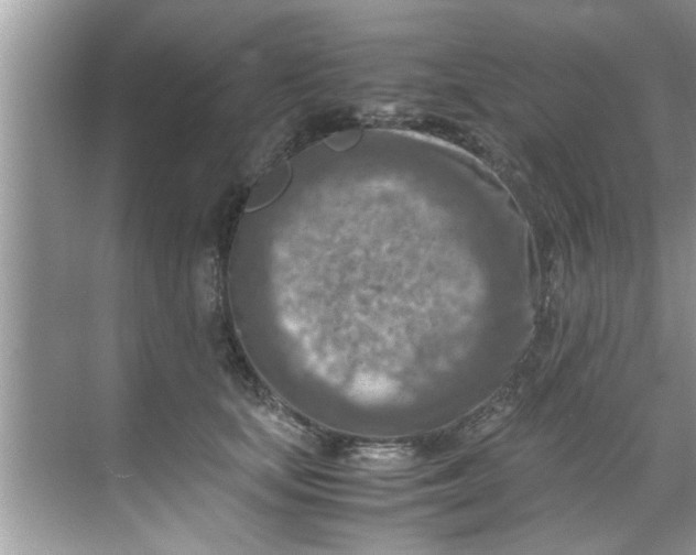 X0000069410659200605262210