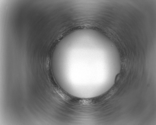 X0000069410660200605262210