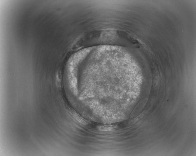 X0000069410661200605262210