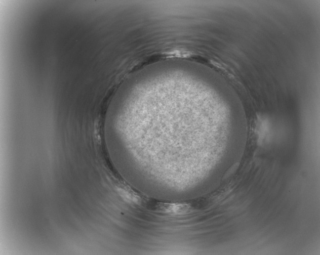 X0000069410663200605262210