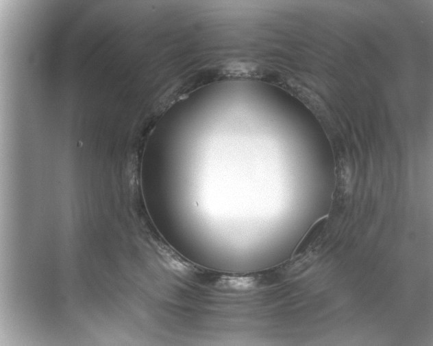 X0000069410665200605262210